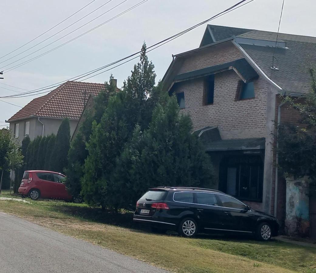 Kod Velikih Tuja Daire Melenci Dış mekan fotoğraf